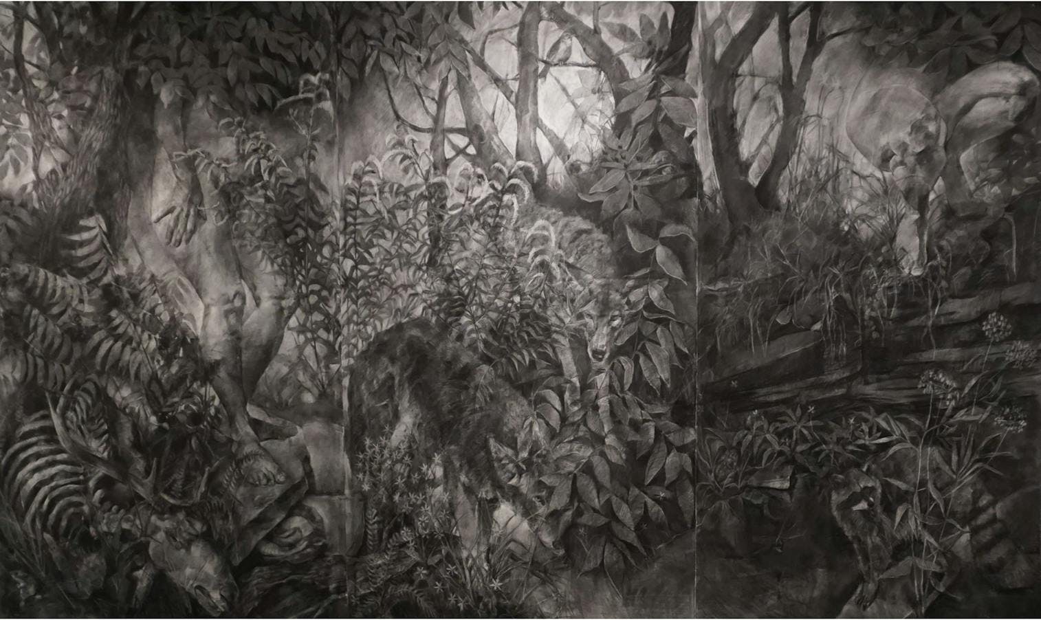 Forest Dark II, charcoal on Arches